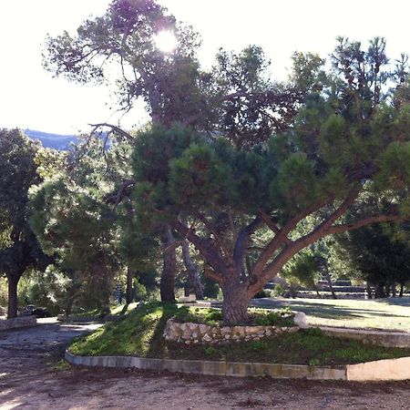 Masia La Safranera Guest House Alcoy Exterior photo