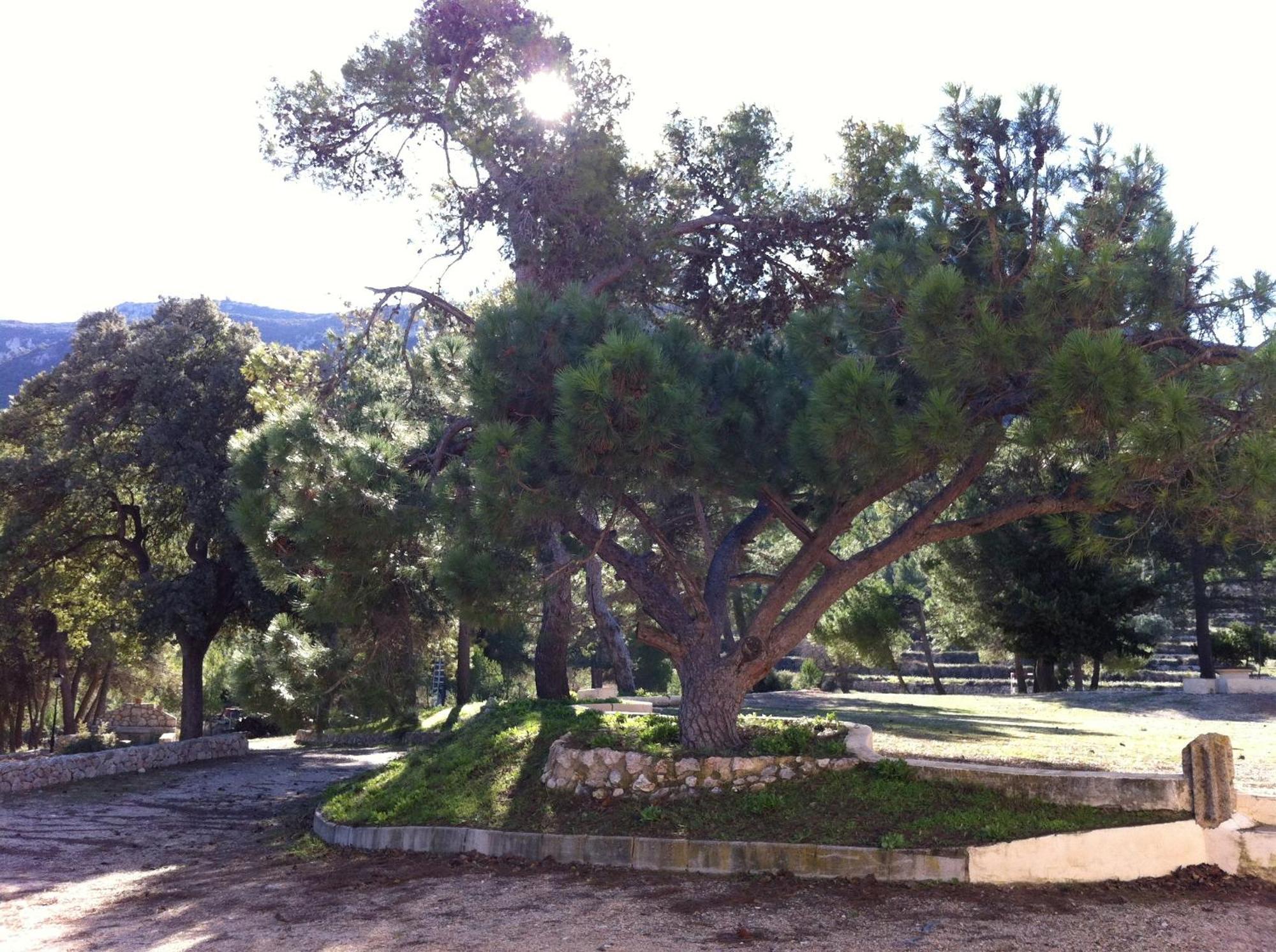 Masia La Safranera Guest House Alcoy Exterior photo